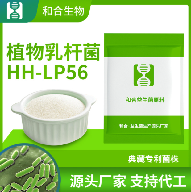 和合生物 植物乳杆菌HH-LP56